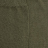 Kindersocken aus ägyptischer Baumwolle - Cameleon | Doré Doré