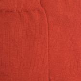 Kindersocken aus ägyptischer Baumwolle - Gold | Doré Doré