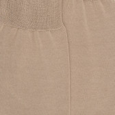 Herrensocken aus 100% Baumwolle Lisle - Beige | Doré Doré