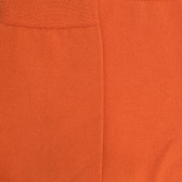 Damensocken aus feiner ägyptischer Baumwolle - Orange | Doré Doré