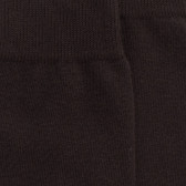 Socken aus Ägyptischer Baumwolle - Braun