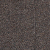 Herrensocken aus ägyptischer Baumwolle - Braun | Doré Doré