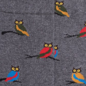 Herren Fantaisiesocken mit keinen bunten Eulen