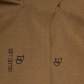 Herrensocken aus ägyptischer Baumwolle - Baobab beige | Doré Doré