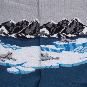 Herren Baumwollsocken mit Robbenmuster auf Kai - Croisette | Doré Doré