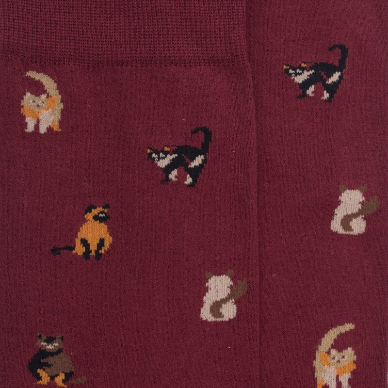 Herren Socken aus Baumwolle mit Katzen Muster - Aubergine | Doré Doré
