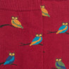 Herrensocken aus Baumwolle mit Eulenmotiv - Amaranthrot | Doré Doré
