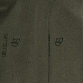 Damensocken aus weicher Baumwolle mit Rollrand - Grün | Doré Doré