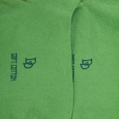 Herren Socken aus ägyptischer Baumwolle - Avocado | Doré Doré