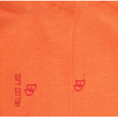Herren Sneaker-Socken aus ägyptischer Baumwolle - Orange | Doré Doré