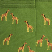 Herren Socken aus Baumwolle mit Giraffen Muster - Grün | Doré Doré