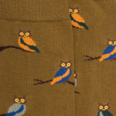 Herrensocken aus Baumwolle mit Eulenmotiv - Pistaziengrün & blau | Doré Doré