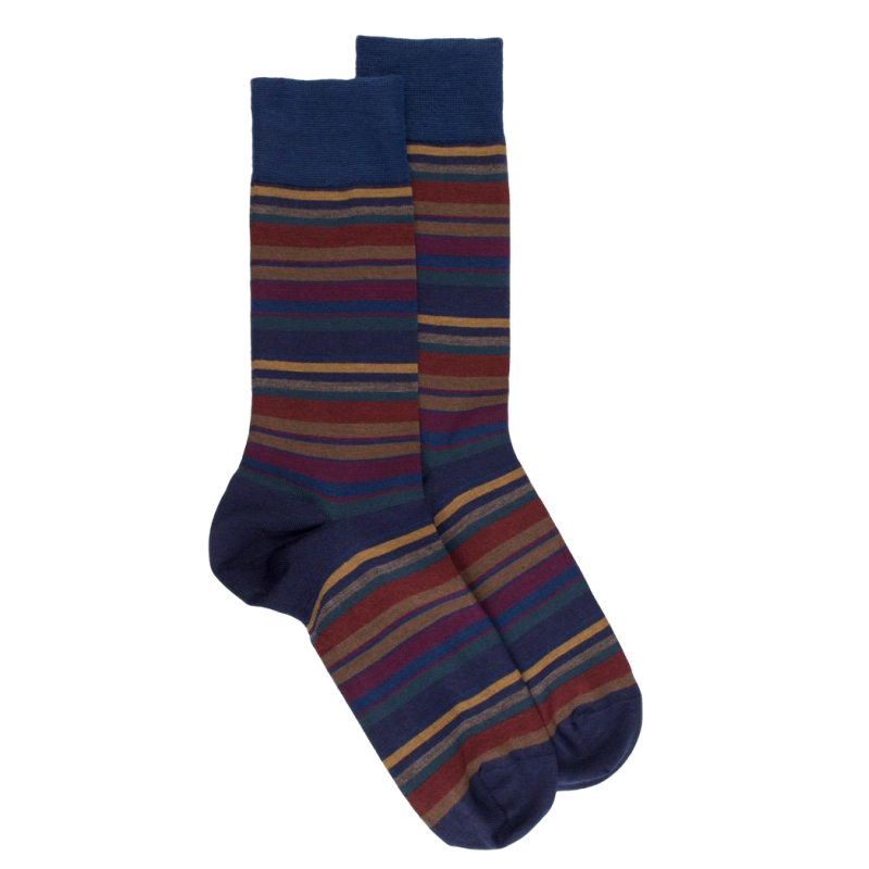 Socken mit feinen mehrfarbigen Streifen - Blau