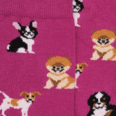 Socken mit Motiven für kleine Hunde - Rosa