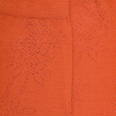 Damensocken aus Wolle mit Transparenz - Orange | Doré Doré